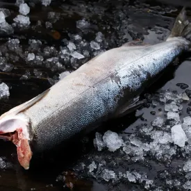 Горбуша потрошеная без головы