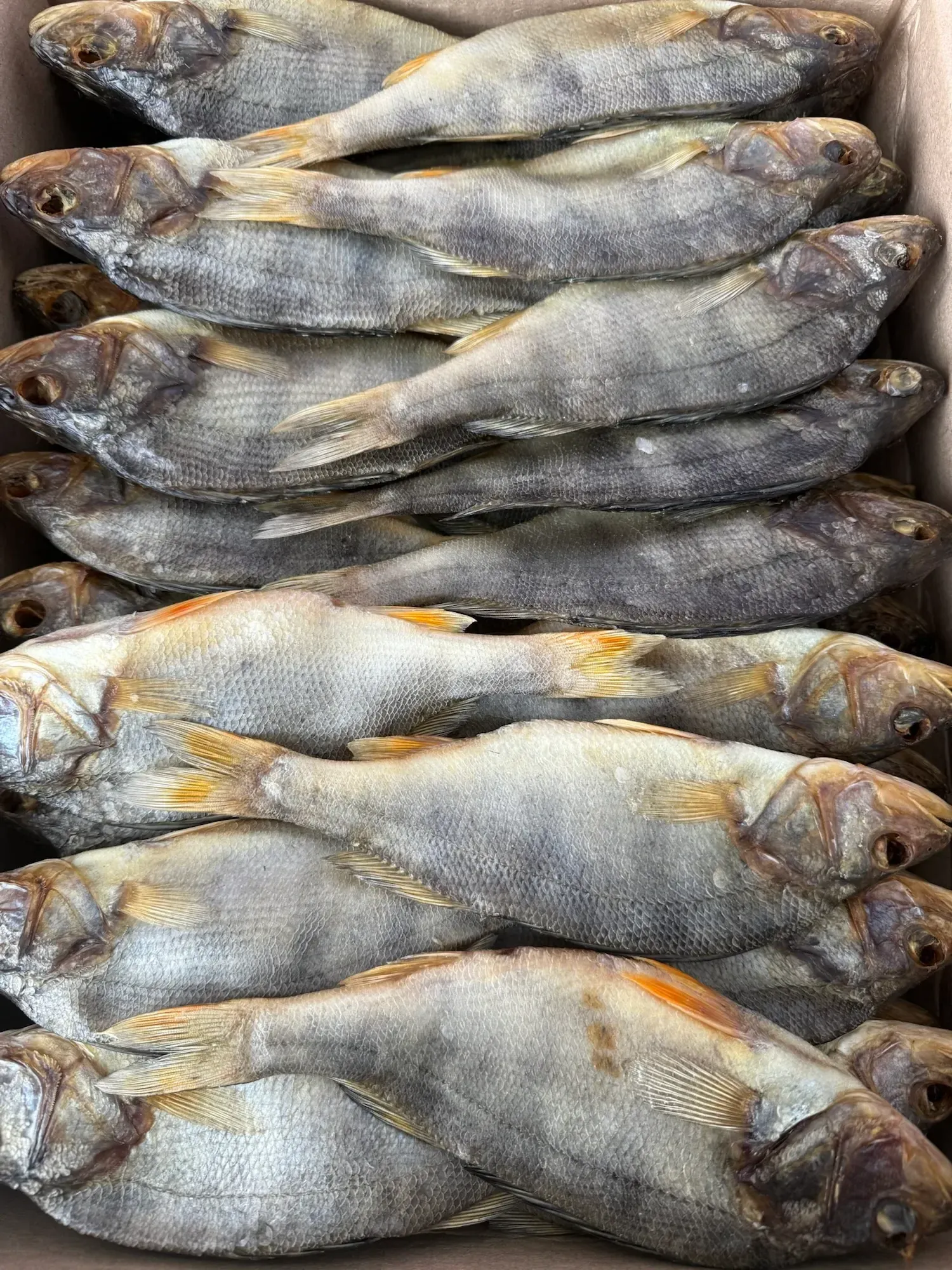 Окунь пресноводный вяленый неразделанный фото 2