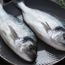 Дорадо непотрошеная с головой