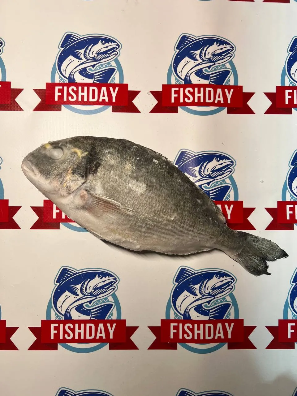 Дорадо непотрошеная с головой фото 2