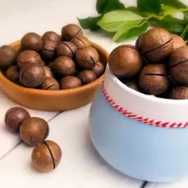 Макадамия в скорлупе