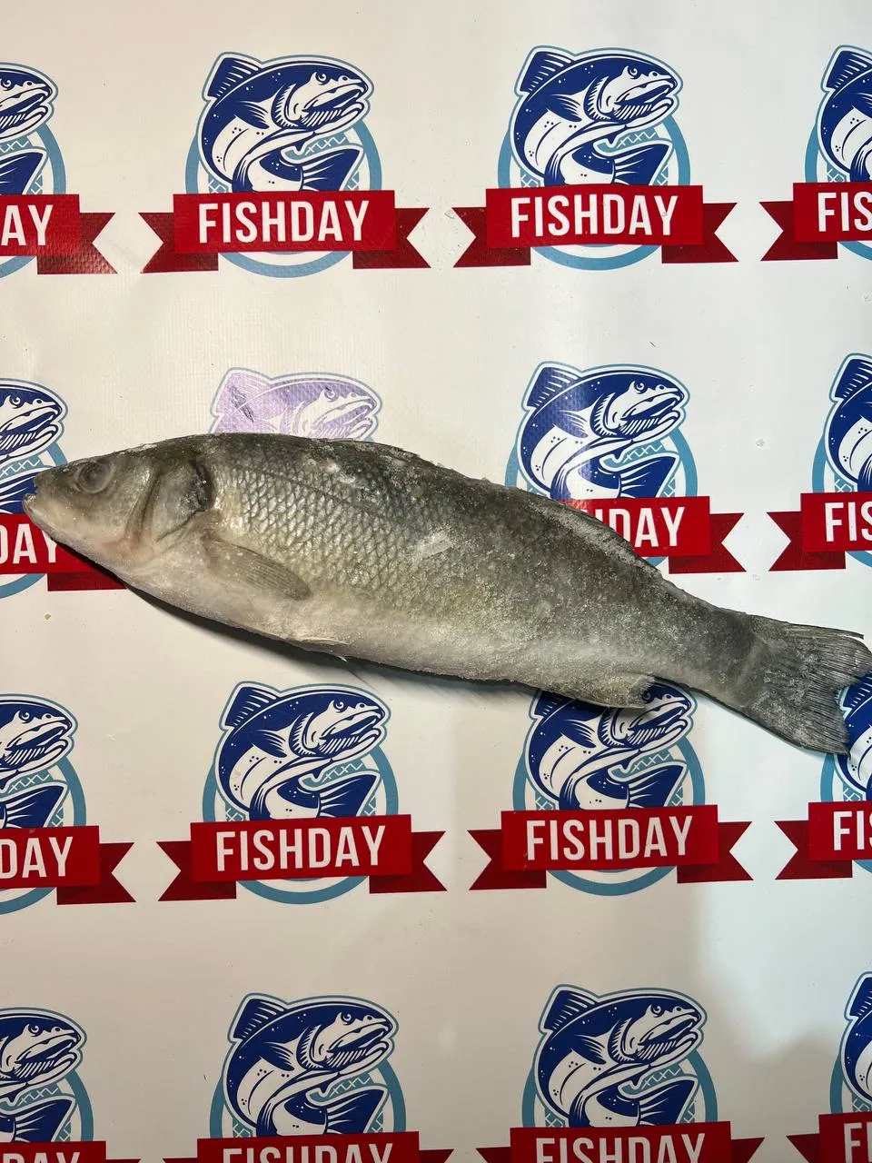 Сибас неразделанный фото 2