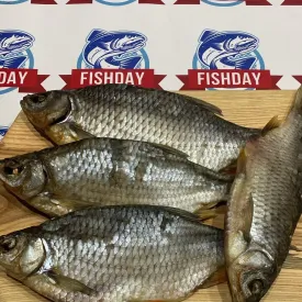 Краснопёрка вяленая неразделанная