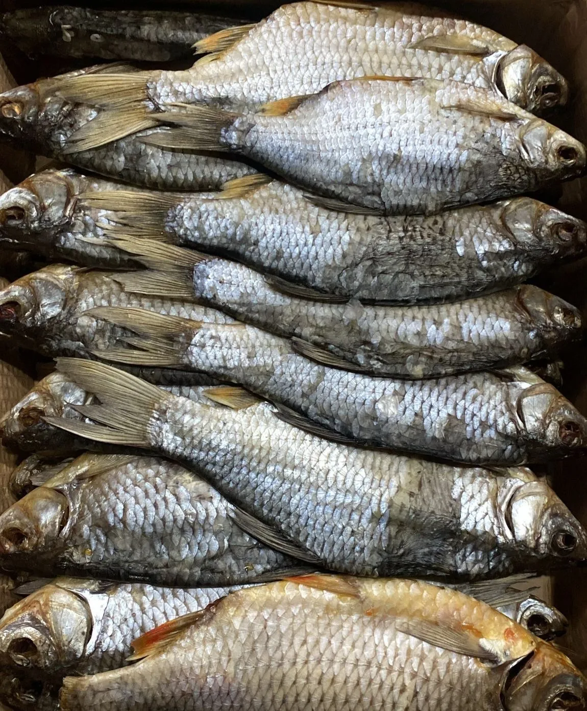 Краснопёрка вяленая неразделанная фото 2