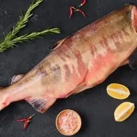 Кета потрошёная без головы