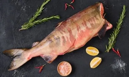 Кета потрошёная без головы