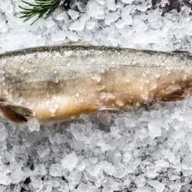 Голец неразделанный с головой