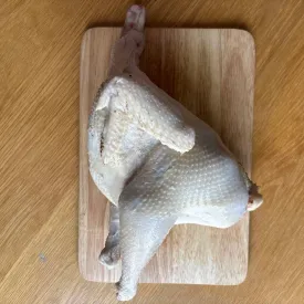 Суповая курица