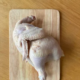 Цыпленок-корнишон 