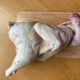 Петух для бульона и запекания