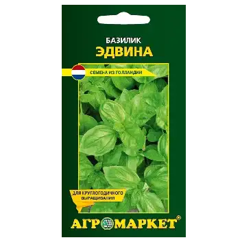 Семена базилика фото 2
