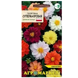 Георгина Супермахровая, 0,5 г (до 10.2024)