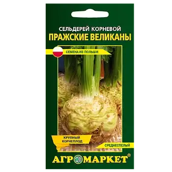 Семена сельдерея фото 3