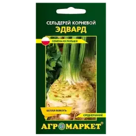 Семена сельдерея