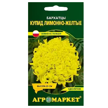 Семена Бархатцев фото 2