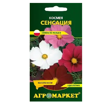 Семена Космеи фото 2