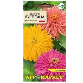 Семена Циннии