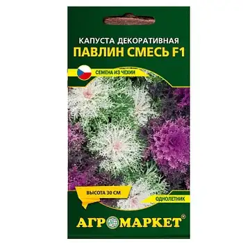 Капуста декоративная фото 2