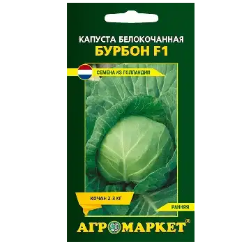 Семена капусты белокочанной в ассортименте фото 2