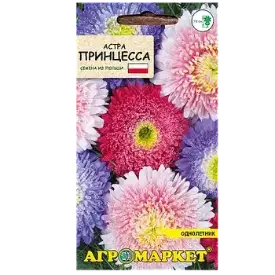 Семена астры