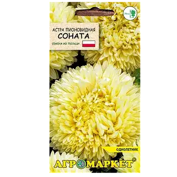 Семена астры фото 2