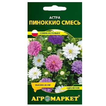 Семена астры фото 4
