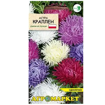 Семена астры фото 3