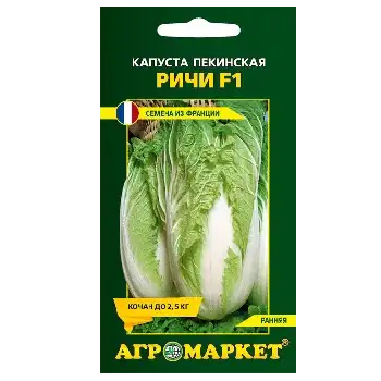 Семена пекинской капусты фото 3