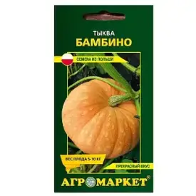 Тыква Бамбино, 5 шт (до 10.2024)