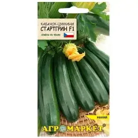 Семена кабачка