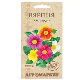 Георгина Миньон (серия Кветки Беларуси), 0.5 г (до 10.2024)