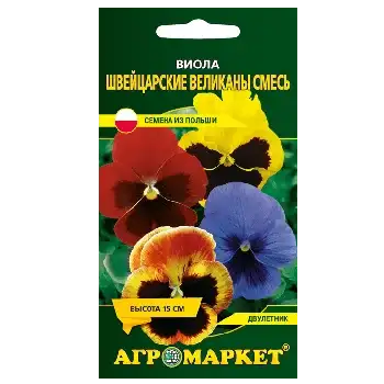 Семена Виолы фото 2
