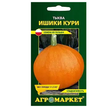 Семена тыквы фото 2