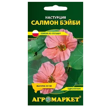 Семена Настурции фото 6