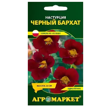 Семена Настурции фото 5