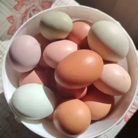 Яйца деревенские диетические