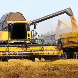 Зерно фуражное