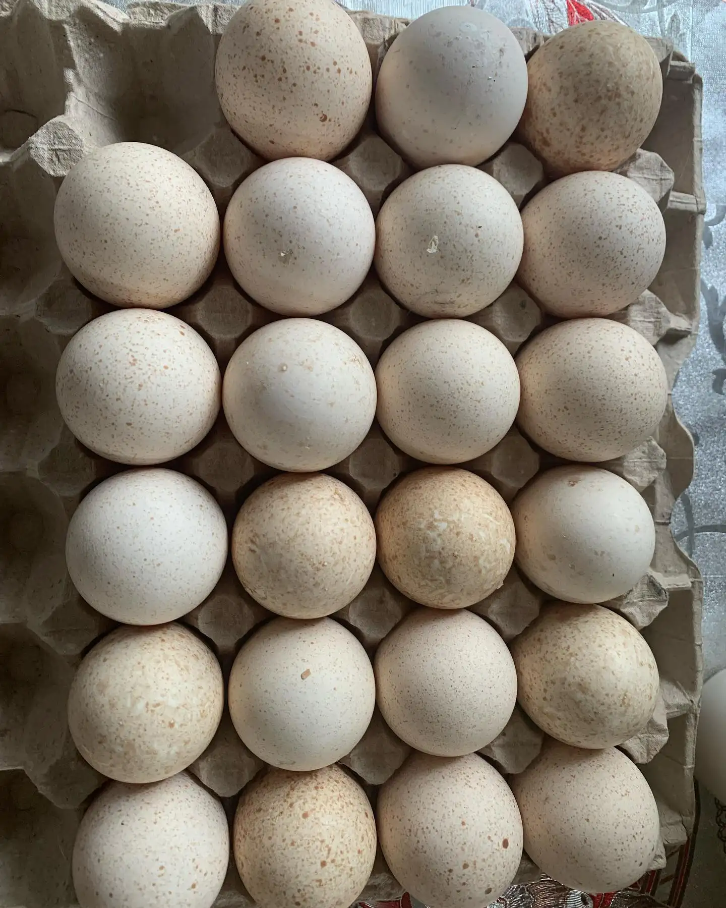 Яйца куриные фото 2