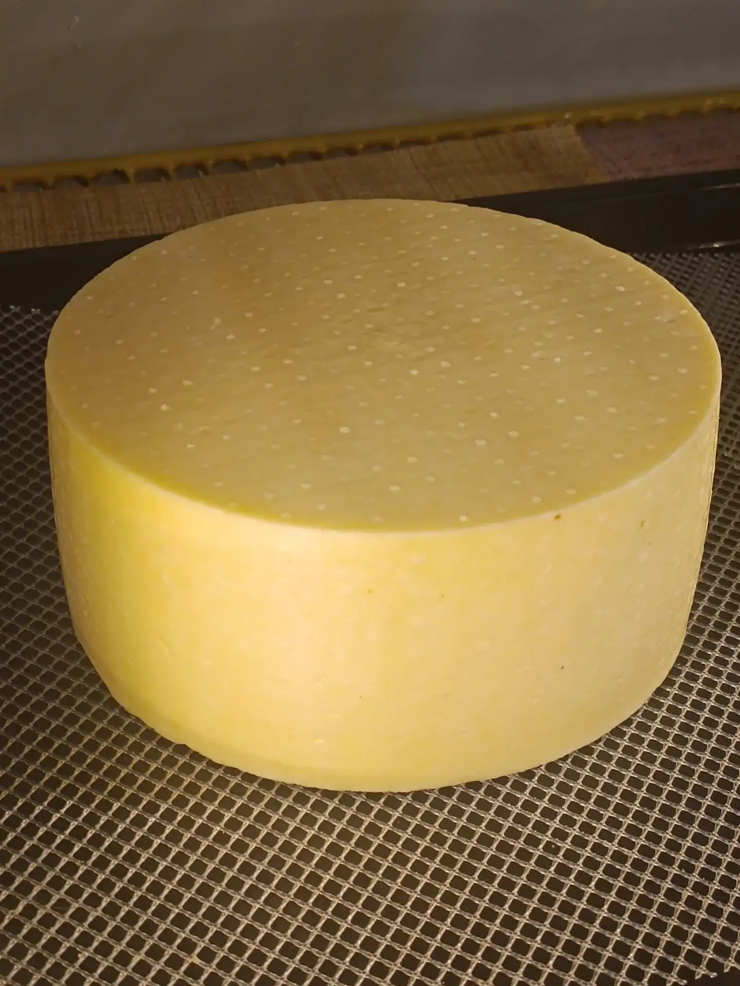 Сыр выдержанный фото 3