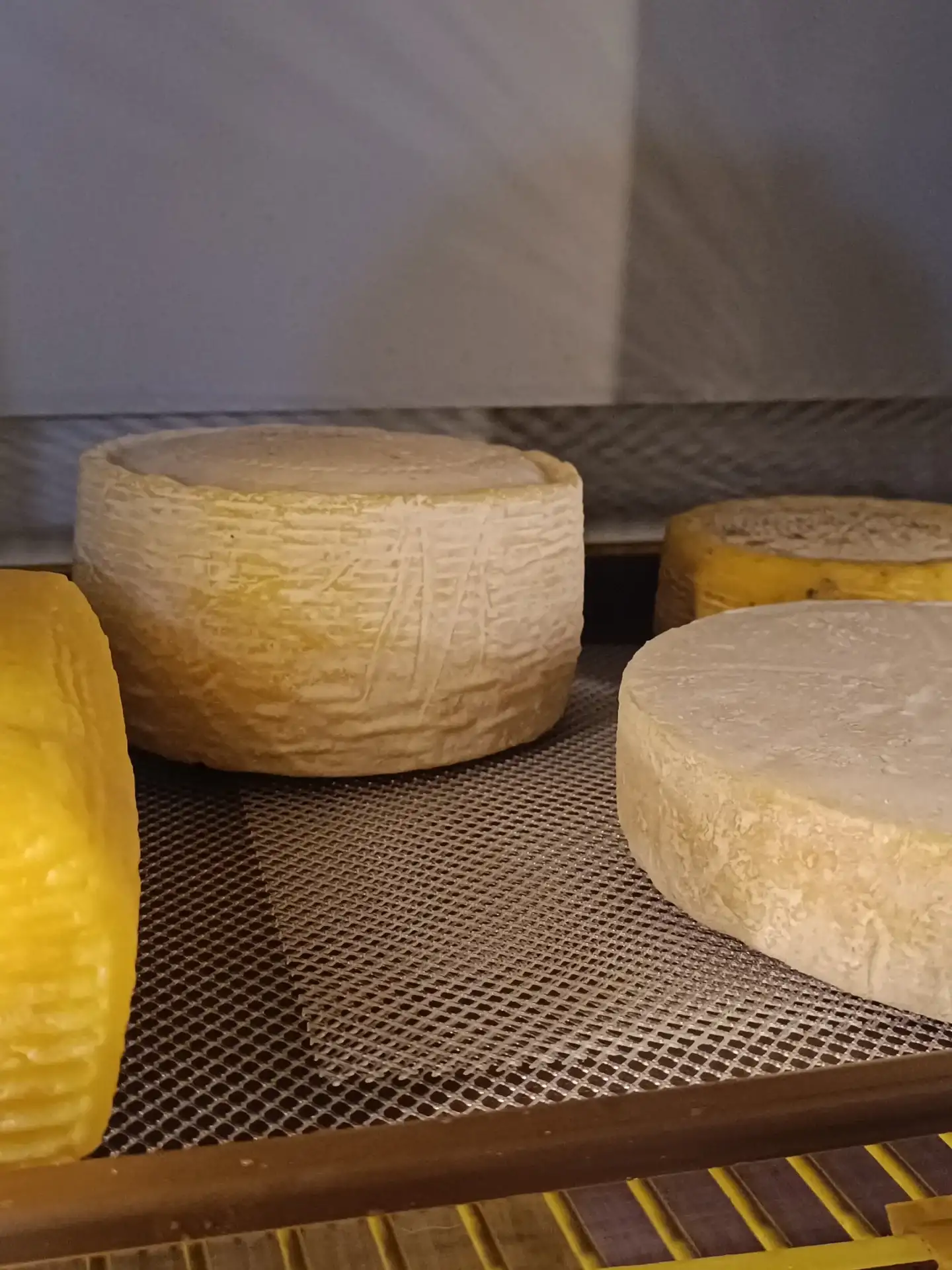Сыр выдержанный фото 2