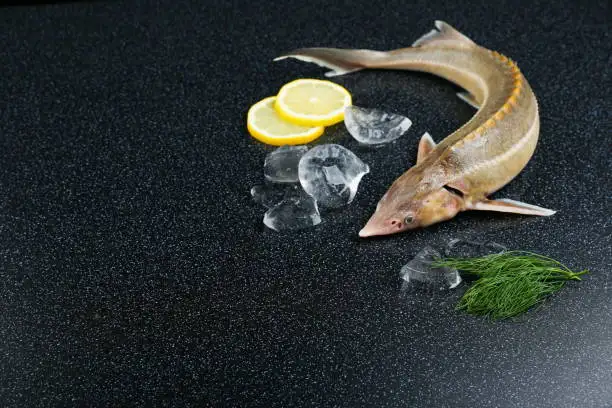 Рукал охлажденный, 1-1.5 кг