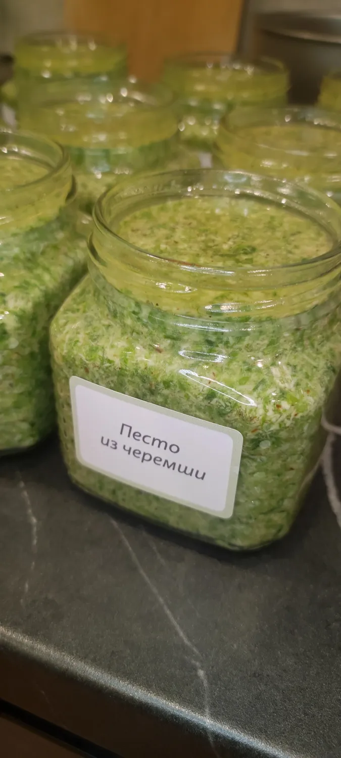 Песто из черемши фото 1