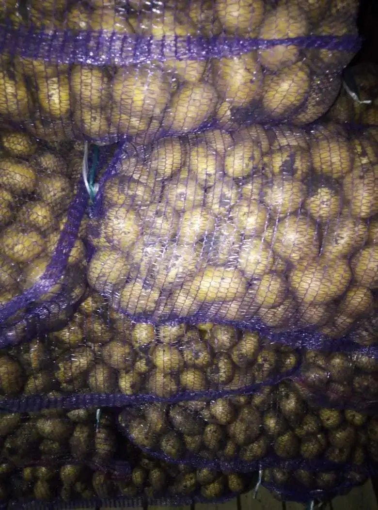 Картофель свежий фото 2