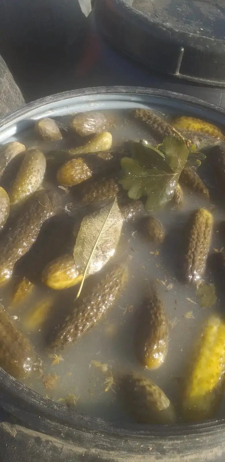 Огурец соленый, бочковой, 1 кг фото 3