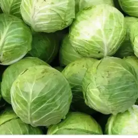 Капуста поздних сортов, фасованная