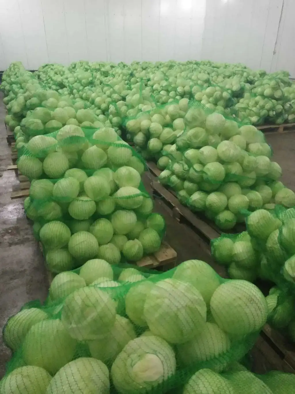 Капуста поздних сортов, фасованная фото 3