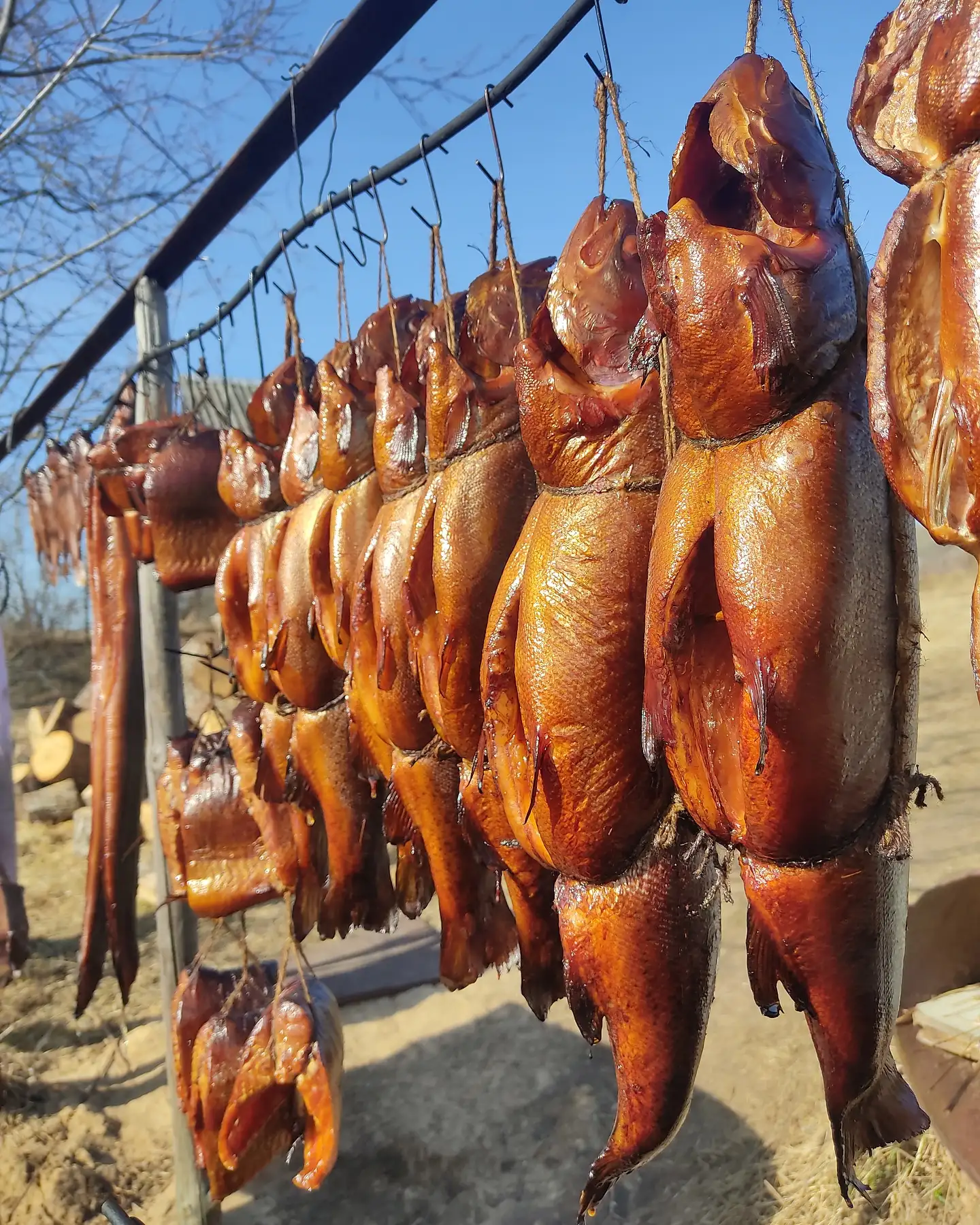 Горбуша копченая фото 2