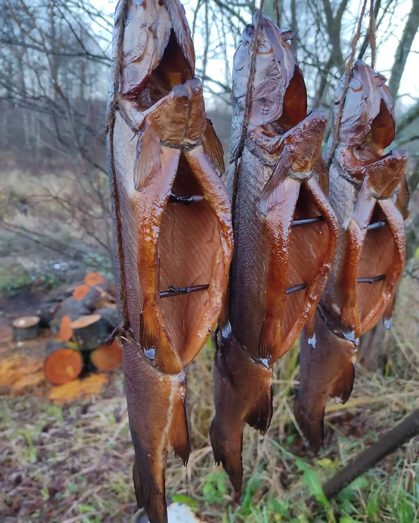 Форель копченая фото 2