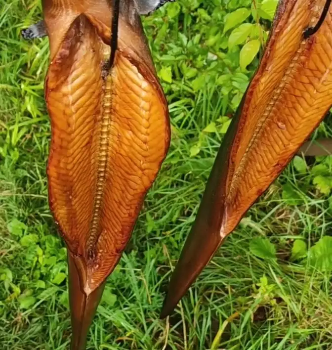 Угорь копченый фото 2