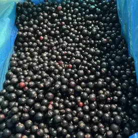 Черная смородина замороженная